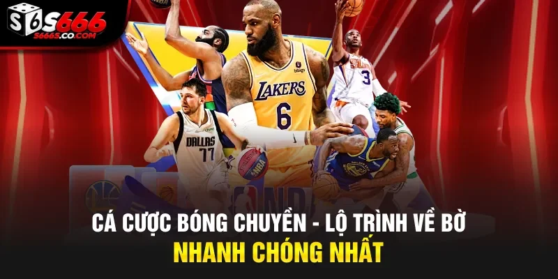 Cá Cược Bóng Chuyền - Lộ Trình Về Bờ Nhanh Chóng Nhất