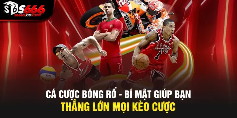 Cá Cược Bóng Rổ - Bí Mật Giúp Bạn Thắng Lớn Mọi Kèo Cược