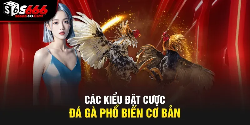 Các kiểu đặt cược đá gà phổ biến cơ bản