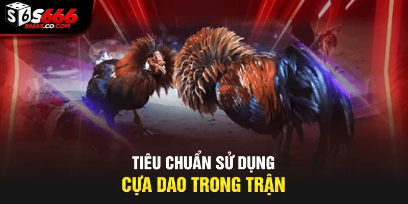 Tiêu chuẩn sử dụng cựa dao trong trận