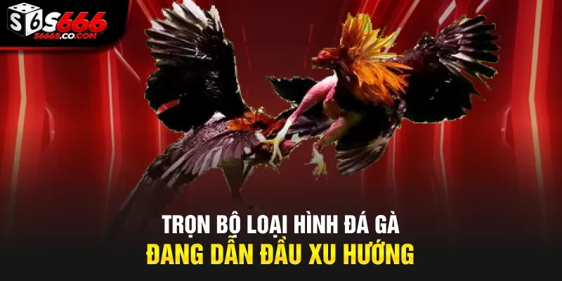 Trọn bộ loại hình đá gà đang dẫn đầu xu hướng